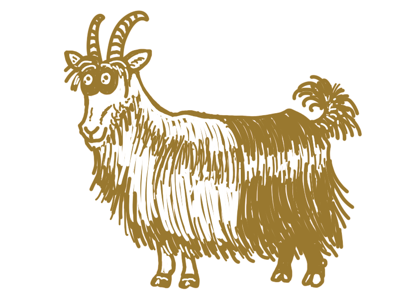 walliser bearbeitet